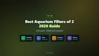 Best Aquarium Filters for Crystal-Clear Tanks