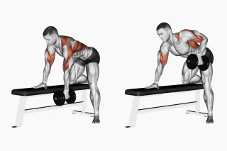 15 Dumbbell Lat Exercises to Sculpt Your Back at Home