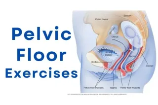 How To Do Pelvic Floor Exercises: A Step-by-Step Guide