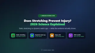 Does Stretching Before Exercise Prevent Injury? (2026 Science)