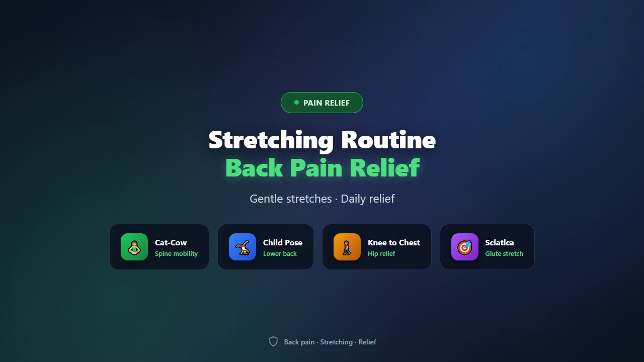 Best Stretching Routine for Back Pain Relief